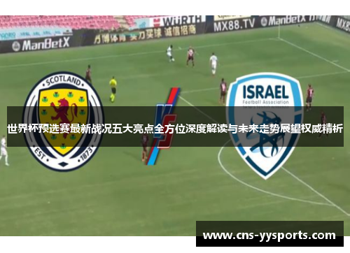 世界杯预选赛最新战况五大亮点全方位深度解读与未来走势展望权威精析